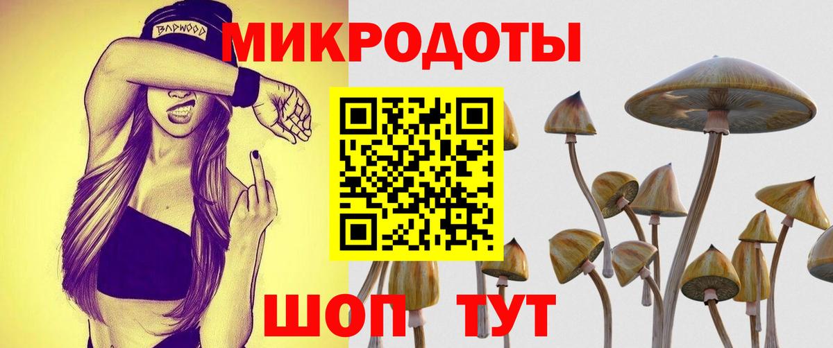 Галлюциногенные грибы Psilocybine cubensis  Вход с VPN  Галлюциногенные грибы мицелий  Миасс 