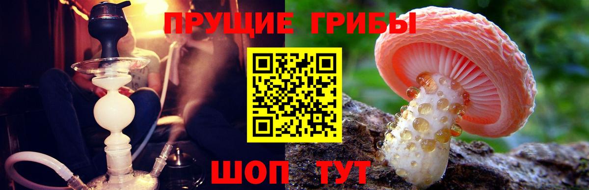 Псилоцибиновые грибы мухоморы Миасс